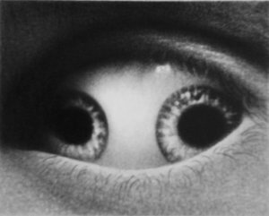 Eliot Allsop Pupula Duplex